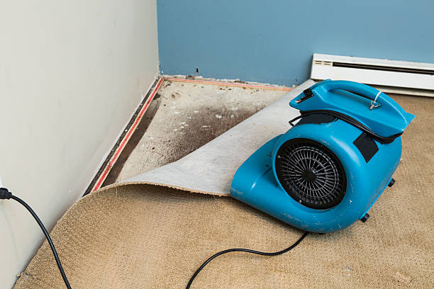 24/7 water damage repair in Fort Myers Shores, FL